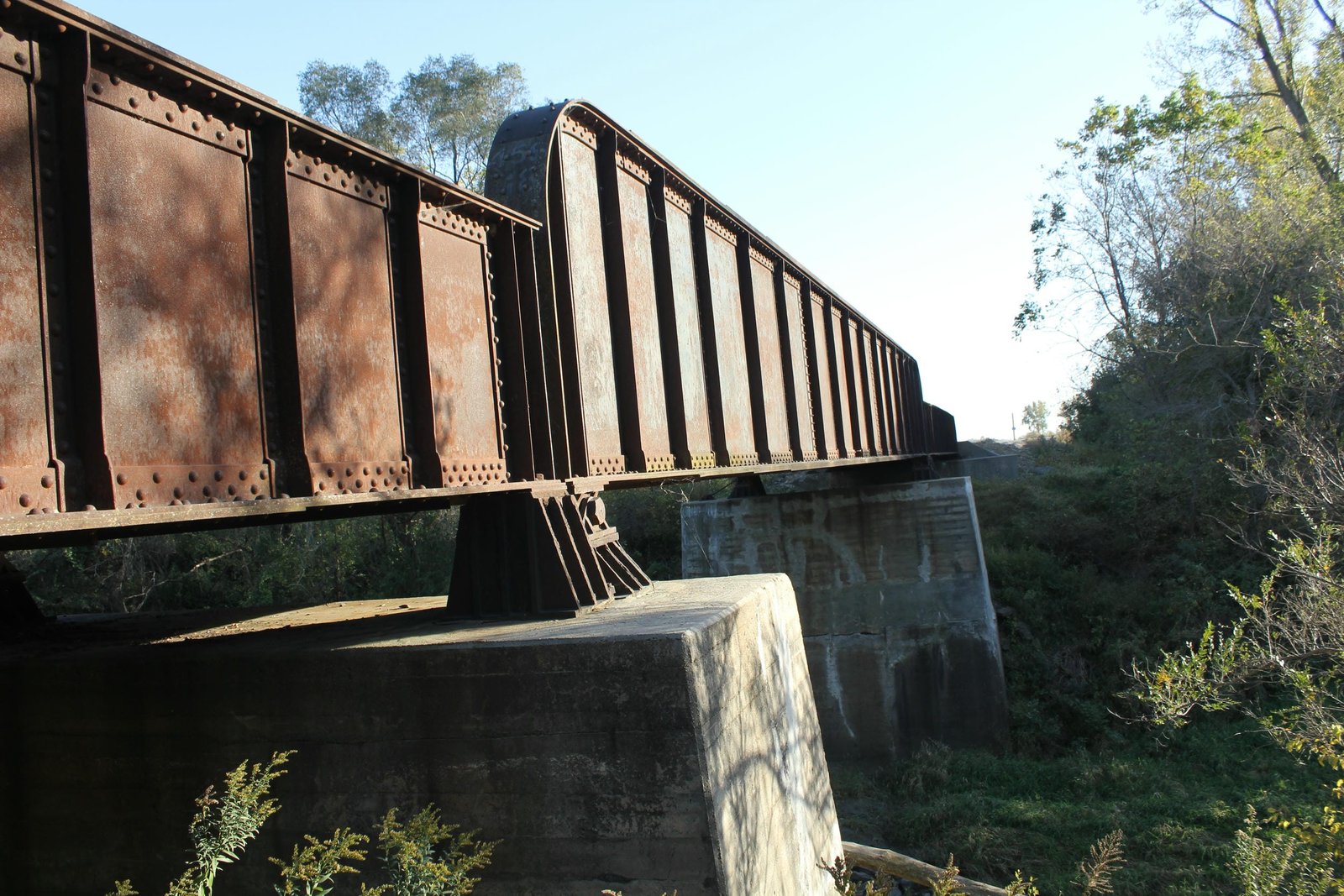 Main span